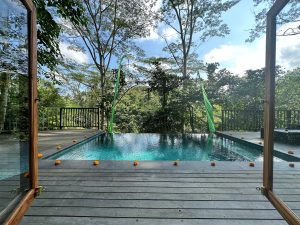 Elegant Luxury Villa Retreat Ubud surrounded by lush greenery and peaceful landscapes