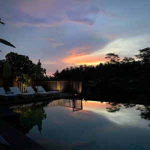 Elegant villa interior in Ubud Bali featuring modern design, natural elements, and tranquil ambiance