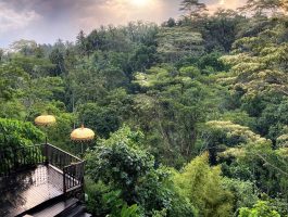 About-the-manipura-estate-valley-view About-the-manipura-estate-valley-view
